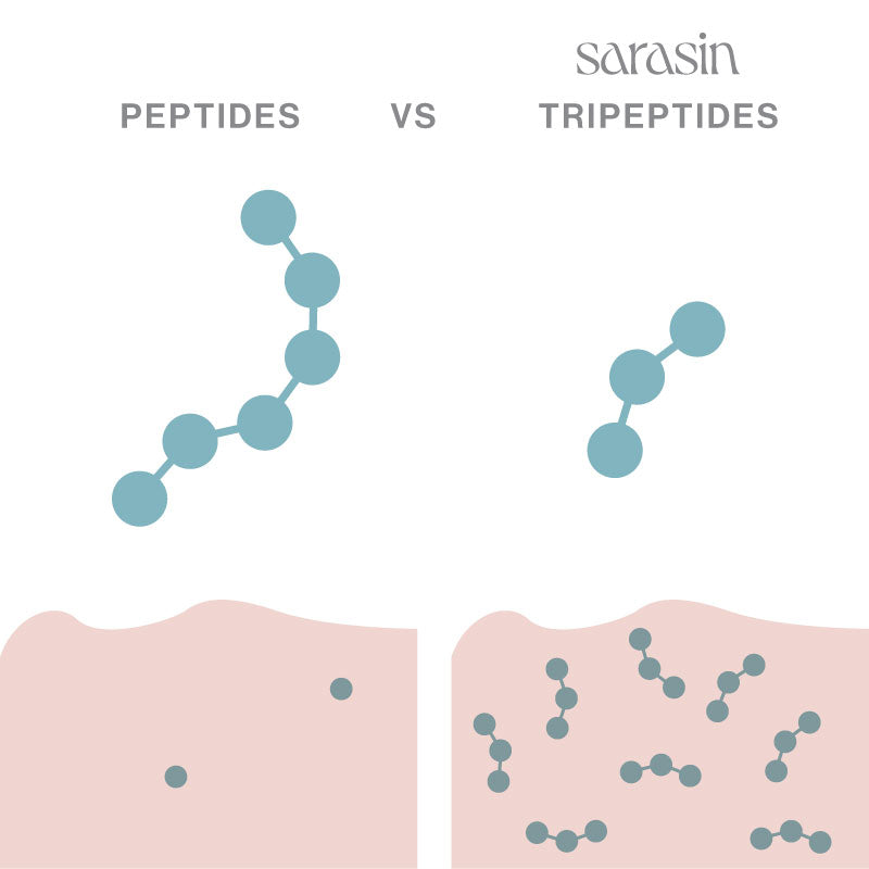 sarasin collageen peptiden vs tripeptiden infographic